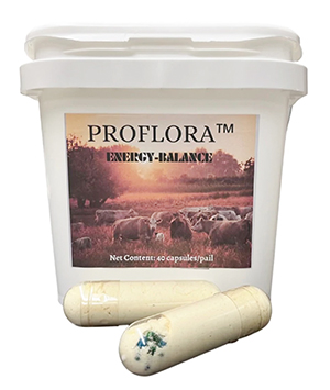 PROFLORA Energy Balance Capsules