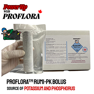 ProFlora Rumi-PK Bolus