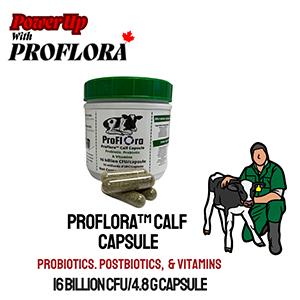 ProFlora Calf Capsule